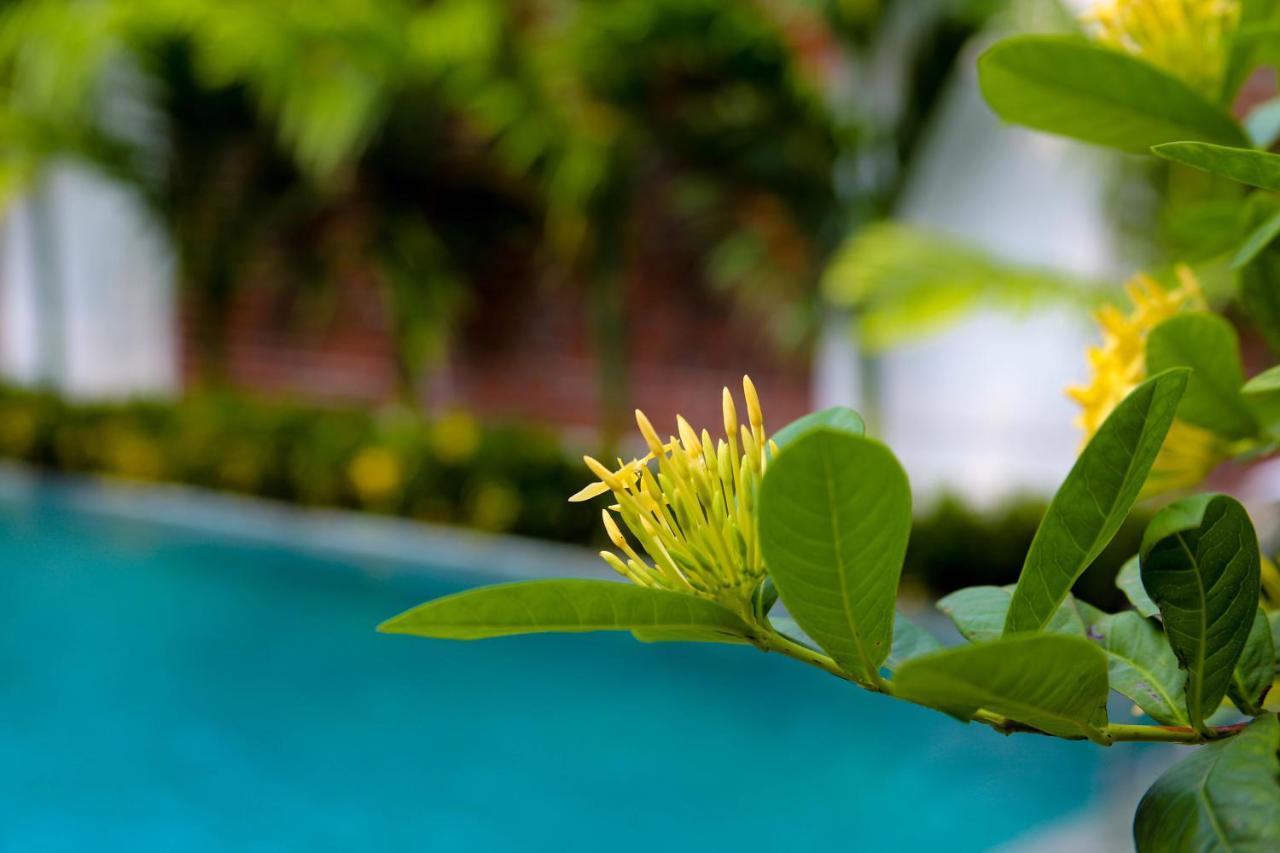 Tam Coc International Friends Apartment นิญบิ่ญ ภายนอก รูปภาพ